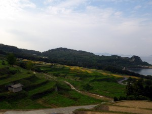 IMGP0529