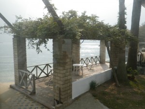 IMGP1445